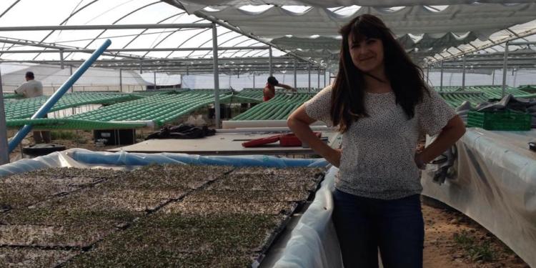 Stella Zapata logra trabajar bajo hidroponia en Neuquén: “La última inversión en cobertores se la llevó toda el viento”