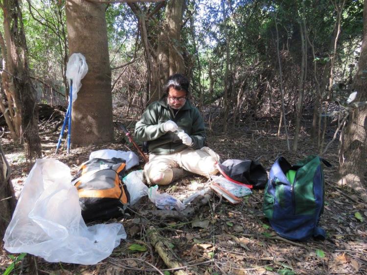 Martín Kowalewski es un especialista en monos: “Cuando el monte calla hay un peligro latente”