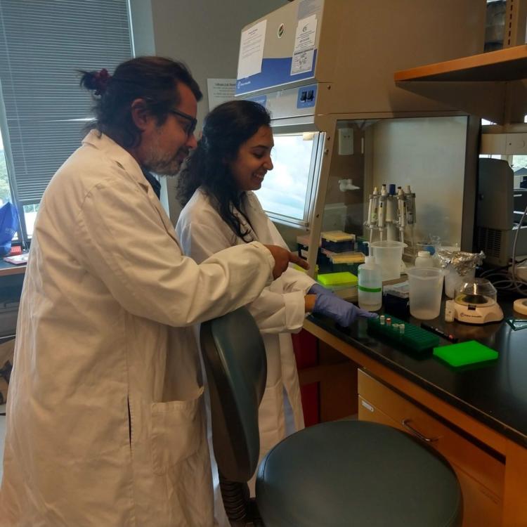 Martín Kowalewski es un especialista en monos: “Cuando el monte calla hay un peligro latente”