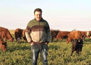 Carlos Baravalle: “Con 100 vacas, se pierde más de 1 millón de pesos al comparar un 70% de índice de preñez con uno que supere el 90%”