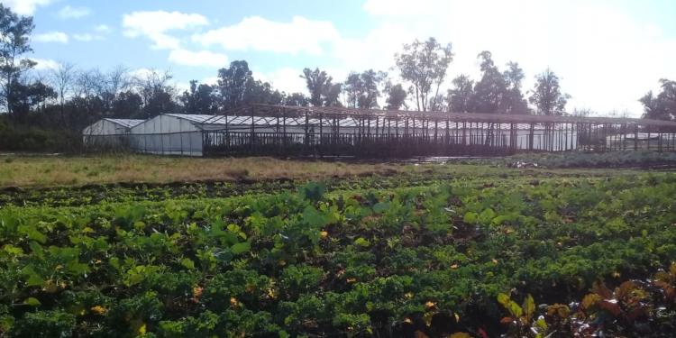 La agroecología va tomando forma de política de Estado: Buenos Aires deriva créditos a productores que la apliquen