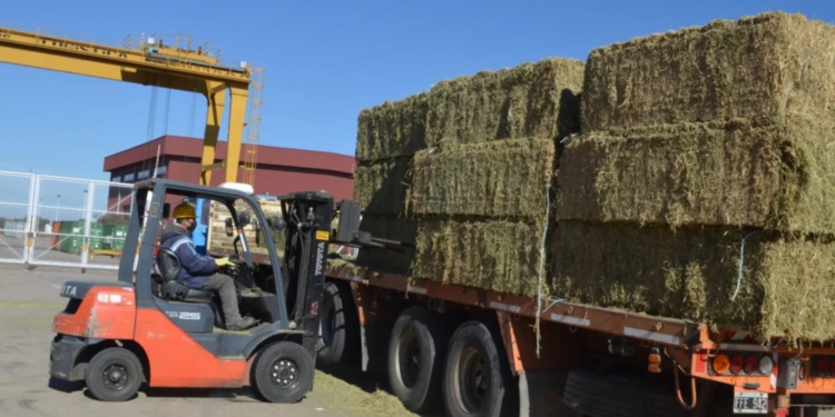 Crónicas Robadas: “La alfalfa puntana ya pisa fuerte en Medio Oriente”