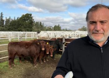 David Tonello sufrió el incendio de su campo y cree que fue intencional: “Sabemos que hubo tres focos, uno cada 30 metros”, afirmó