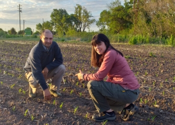 Docente y productor, Diego Álvarez se cargó al hombro el desafío de intentar producir soja y maíz sin agroquímicos en el periurbano de Pergamino