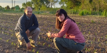 Docente y productor, Diego Álvarez se cargó al hombro el desafío de intentar producir soja y maíz sin agroquímicos en el periurbano de Pergamino