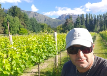 Falta agua y en Mendoza cambia el paisaje: “Este año entramos en otoño anticipado, porque en febrero ya se caían las hojas de los árboles”, dice Ricardo García