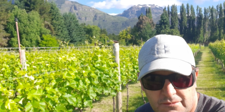 Falta agua y en Mendoza cambia el paisaje: “Este año entramos en otoño anticipado, porque en febrero ya se caían las hojas de los árboles”, dice Ricardo García