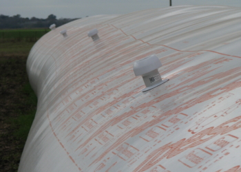 El caso Smartium Agro: Una apuesta a un campo inteligente, repleto de sensores que “hagan hablar” a vacas y cultivos