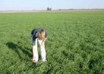 En el día de la conservación del suelo, Lucila Álvarez nos recuerda que cada año perdemos un área equivalente a Costa Rica