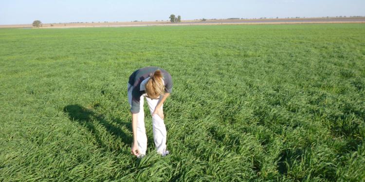 En el día de la conservación del suelo, Lucila Álvarez nos recuerda que cada año perdemos un área equivalente a Costa Rica