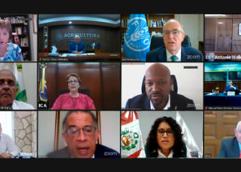 Descubriendo la noticia: Los países de América reclamaron a China que el Covid no sea una excusa para frenar el comercio de alimentos