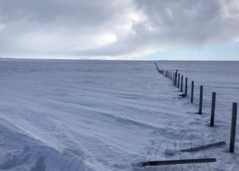 Una crónica desde la zona de las grandes nevadas: Después de 15 años secos, la ola polar se asemeja a otras de los 80 y 90.