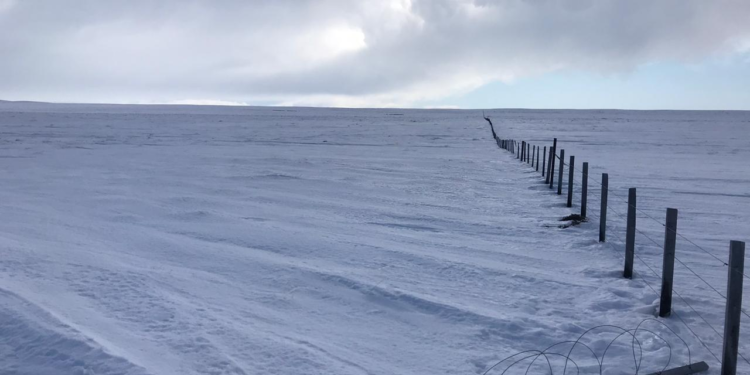 Una crónica desde la zona de las grandes nevadas: Después de 15 años secos, la ola polar se asemeja a otras de los 80 y 90.