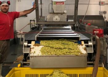 Una pequeña empresa juguera de Río Negro quiere producir biogás a partir del orujo de las frutas