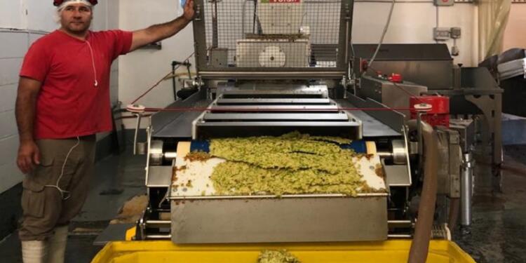 Una pequeña empresa juguera de Río Negro quiere producir biogás a partir del orujo de las frutas