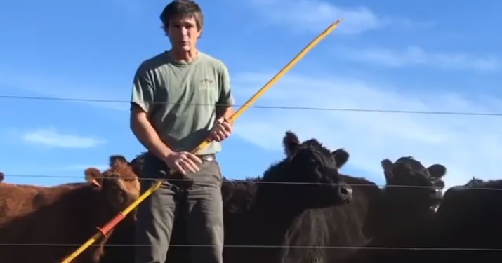 El caso PensAgro: Pablo Etcheberry necesitaba ahorrar tiempo e inventó un par de dispositivos para hacer una ganadería más sencilla y automatizada