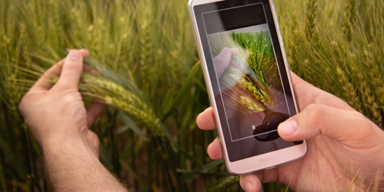 El caso SIMA: Un grupo de jóvenes agrónomos se cansó de la vieja libreta y desarrolló esta aplicación para ordenar todos los datos sobre un lote