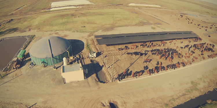 El caso BGA: Dos amigos decidieron trabajar con energías sustentables y pudieron montar grandes generadoras a partir de biogás