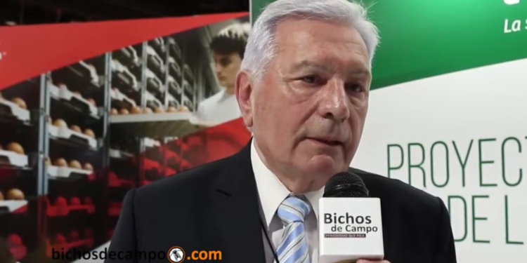 Héctor Motta, el empresario que evolucionó a la par de la avicultura: “Estamos condenados a tener que exportar si queremos crecer”