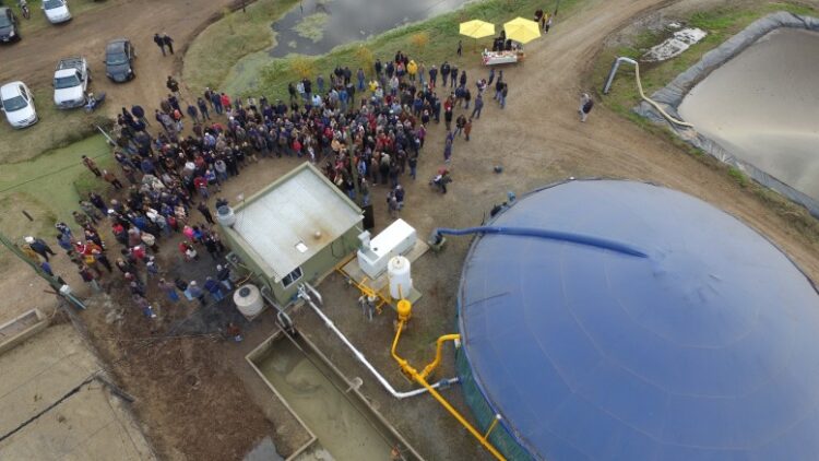 El caso BGA: Dos amigos decidieron trabajar con energías sustentables y pudieron montar grandes generadoras a partir de biogás