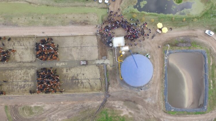 El caso BGA: Dos amigos decidieron trabajar con energías sustentables y pudieron montar grandes generadoras a partir de biogás