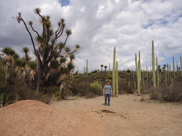 José María Bageneta estudió el caso del amaranto en México y cree que aquí podría ser una opción válida para pequeños productores organizados