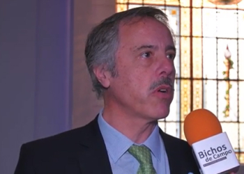 Alfredo Paseyro quiere que haya semillas argentinas en todo el mundo: “No hay en el Cono Sur países con tanta historia en mejoramiento genético”, destaca