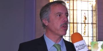 Alfredo Paseyro quiere que haya semillas argentinas en todo el mundo: “No hay en el Cono Sur países con tanta historia en mejoramiento genético”, destaca
