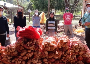 Pequeños productores de Misiones y un cargamento de ilusión: Enviaron mandioca y batata al Mercado Central de Buenos Aires