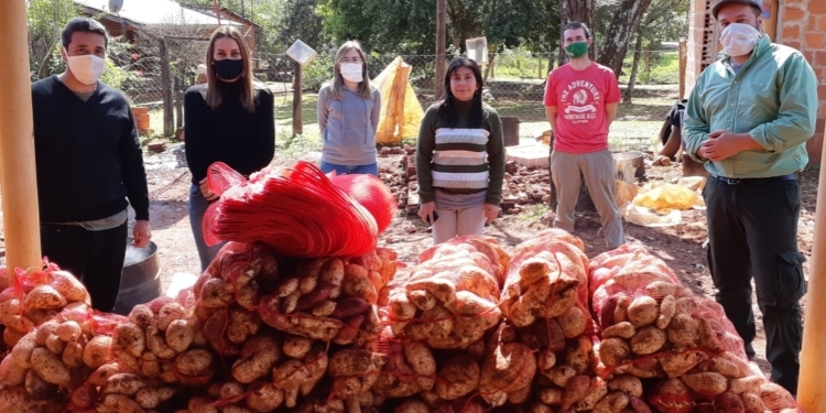 Pequeños productores de Misiones y un cargamento de ilusión: Enviaron mandioca y batata al Mercado Central de Buenos Aires