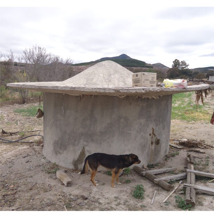 José María Bageneta estudió el caso del amaranto en México y cree que aquí podría ser una opción válida para pequeños productores organizados