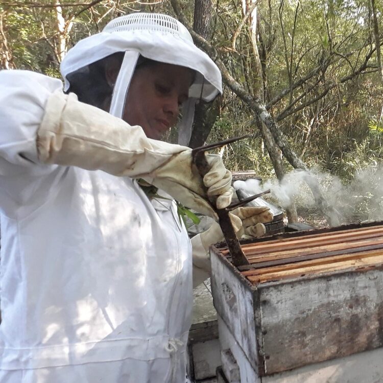 Gabriela forma parte de una organización dedicada a rescatar abejas en peligro: “Sin ellas no hay polinización y por ende no hay alimentos”