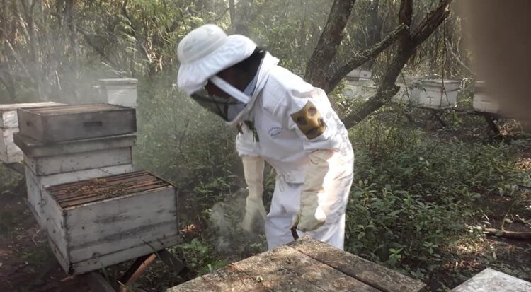 Gabriela forma parte de una organización dedicada a rescatar abejas en peligro: “Sin ellas no hay polinización y por ende no hay alimentos”