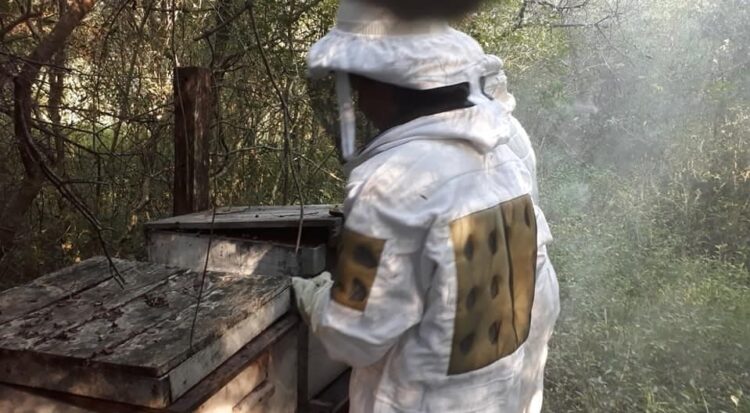 Gabriela forma parte de una organización dedicada a rescatar abejas en peligro: “Sin ellas no hay polinización y por ende no hay alimentos”