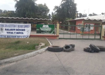 AgroEmpresas: Glencore se ajusta y Vicentin amenaza con cerrar su algodonera