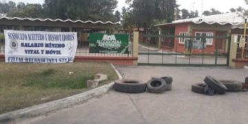 AgroEmpresas: Glencore se ajusta y Vicentin amenaza con cerrar su algodonera
