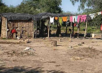 Se habla mucho del desmonte y poco de quienes viven adentro: Hay casi 2 millones de argentinos ligados directamente con los bosques nativos