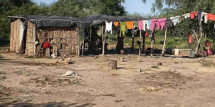 Se habla mucho del desmonte y poco de quienes viven adentro: Hay casi 2 millones de argentinos ligados directamente con los bosques nativos