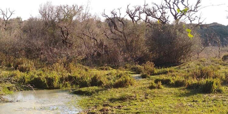 En Concordia, veinte productores se unieron para preservar un arroyo, cuidar la fauna nativa y evitar el abigeato