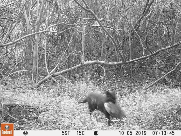 En Concordia, veinte productores se unieron para preservar un arroyo, cuidar la fauna nativa y evitar el abigeato