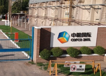 ¿Qué es Cofco? La empresa china que en solo cinco años se convirtió en la mayor agroexportadora de la Argentina
