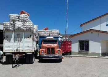 Carlos Mardones integra una cooperativa ovina en Ingeniero Jacobacci: Unidos lograron vender su lana en tiempo de coronavirus