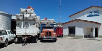 Carlos Mardones integra una cooperativa ovina en Ingeniero Jacobacci: Unidos lograron vender su lana en tiempo de coronavirus