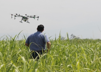 Nicolás Bergmann es especialista en el manejo de drones y satélites para uso agrícola: “Mirar el lote desde arriba te permite ver un montón de cosas para ajustar”
