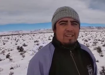Crónicas robadas: El Filip cuida sus treinta ovejas buscando los pastos que sobresalen a la capa de nieve