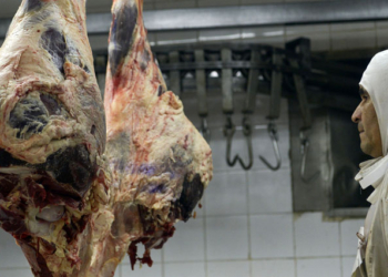 Los malandras quieren meter otra vez la cola: Frigoríficos atentos ante el regreso de las cooperativas de faena