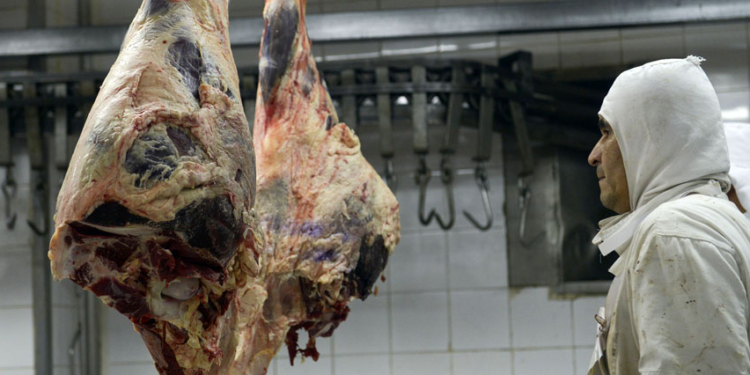 Los malandras quieren meter otra vez la cola: Frigoríficos atentos ante el regreso de las cooperativas de faena