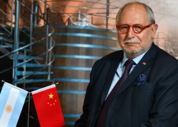 El ex embajador Diego Guelar pidió “terminar con los delirios” para no espantar las inversiones en granjas porcinas que exportarían a China