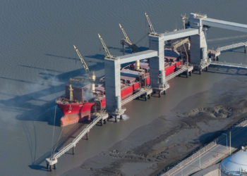 Sin Vicentin en la cancha, las grandes cerealeras se repartieron sus negocios y creció la extranjerización