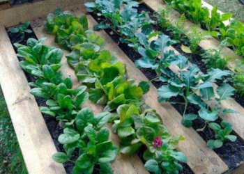 Dicen que la cuarentena nos hizo mejores: En Mercado Libre se disparó la demanda de productos sustentables